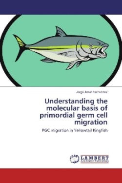 Understanding the molecular basis of primordial germ cell migration