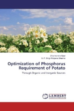 Optimization of Phosphorus Requirement of Potato