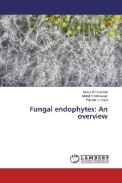 Fungal endophytes: An overview