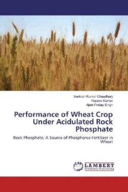 Performance of Wheat Crop Under Acidulated Rock Phosphate