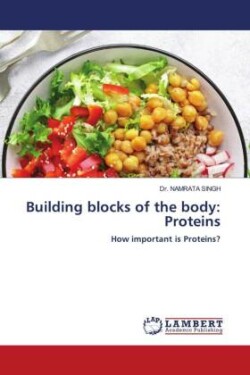 Building blocks of the body: Proteins