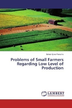 Problems of Small Farmers Regarding Low Level of Production