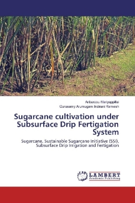Sugarcane cultivation under Subsurface Drip Fertigation System