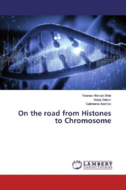 On the road from Histones to Chromosome