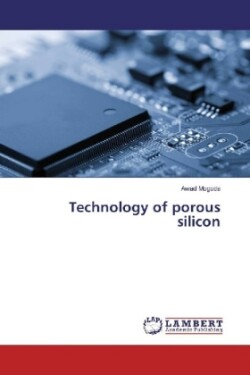 Technology of porous silicon