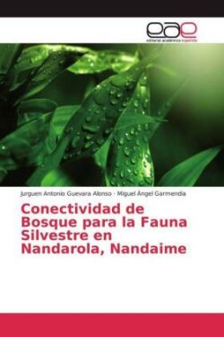 Conectividad de Bosque para la Fauna Silvestre en Nandarola, Nandaime
