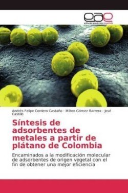 Síntesis de adsorbentes de metales a partir de plátano de Colombia