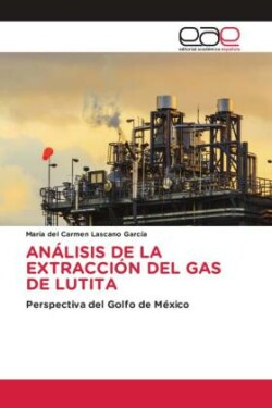 Análisis de la Extracción del Gas de Lutita