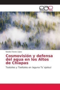 Cosmovisión y defensa del agua en los Altos de Chiapas
