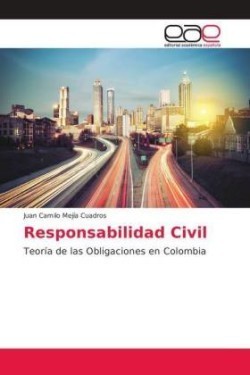 Responsabilidad Civil