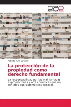 protección de la propiedad como derecho fundamental
