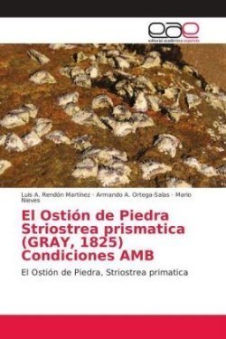 Ostión de Piedra Striostrea prismatica (GRAY, 1825) Condiciones AMB