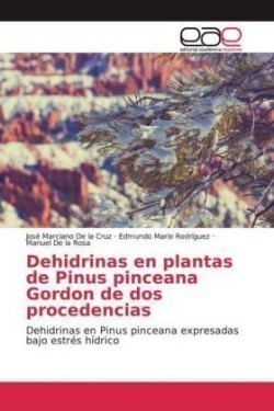 Dehidrinas en plantas de Pinus pinceana Gordon de dos procedencias