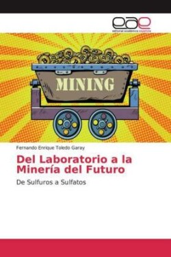 Del Laboratorio a la Minería del Futuro