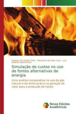 Simulação de custos no uso de fontes alternativas de energia