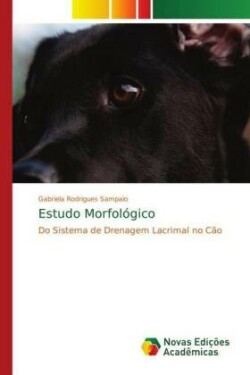 Estudo Morfológico