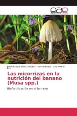 Las micorrizas en la nutrición del banano (Musa spp.)