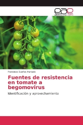 Fuentes de resistencia en tomate a begomovirus