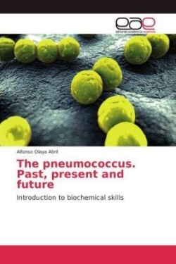 pneumococcus. Past, present and future