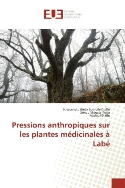 Pressions anthropiques sur les plantes médicinales à Labé