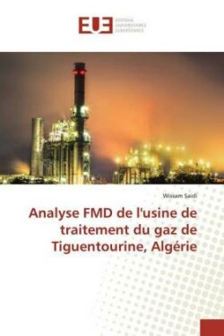Analyse FMD de l'usine de traitement du gaz de Tiguentourine, Algérie