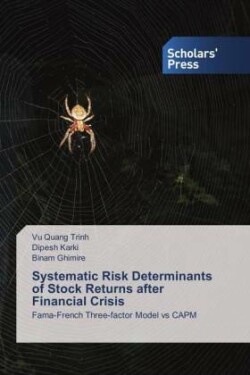 Systematic Risk Determinants of Stock Returns after Financial Crisis