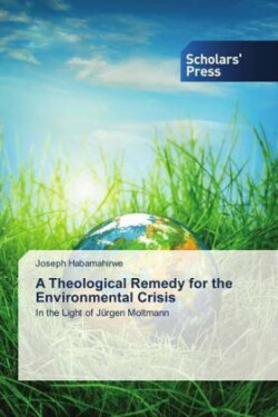 A Theological Remedy for the Environmental Crisis