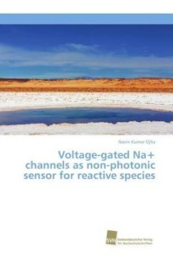 Voltage-gated Na+ channels as non-photonic sensor for reactive species