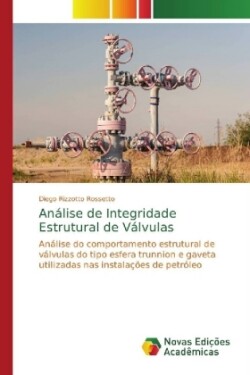 Análise de Integridade Estrutural de Válvulas