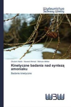 Kinetyczne badania nad synteza amoniaku