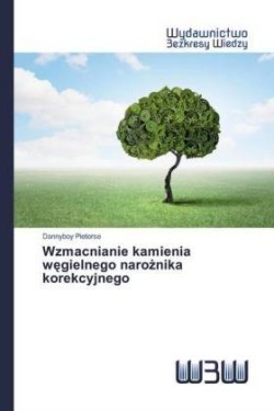 Wzmacnianie kamienia wegielnego naroznika korekcyjnego