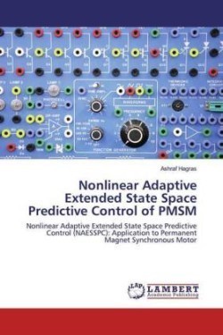 Nonlinear Adaptive Extended State Space Predictive Control of PMSM
