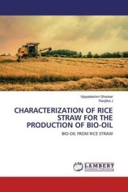 Characterization of Rice Straw for the Production of Bio-Oil