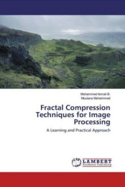 Fractal Compression Techniques for Image Processing