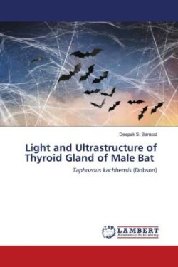 Light and Ultrastructure of Thyroid Gland of Male Bat