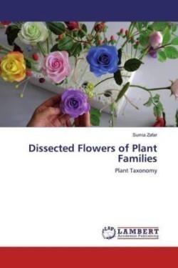 Dissected Flowers of Plant Families