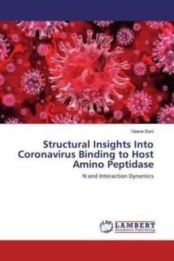 Structural Insights Into Coronavirus Binding to Host Amino Peptidase