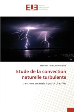 Etude de la convection naturelle turbulente