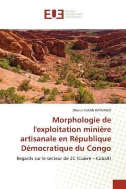 Morphologie de l'exploitation minière artisanale en République Démocratique du Congo