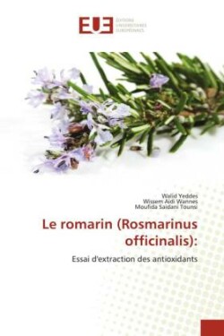 romarin (Rosmarinus officinalis)