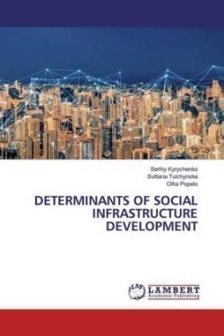 Determinants of Social Infrastructure Development