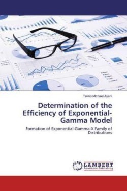 Determination of the Efficiency of Exponential-Gamma Model