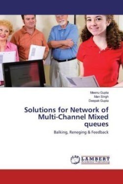 Solutions for Network of Multi-Channel Mixed queues