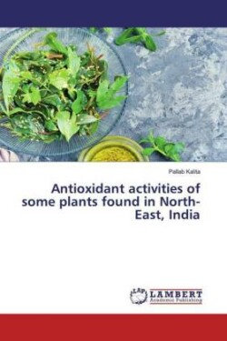 Antioxidant activities of some plants found in North-East, India