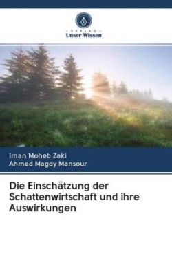 Die Einschätzung der Schattenwirtschaft und ihre Auswirkungen