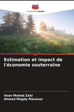 Estimation et impact de l'économie souterraine