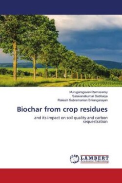 Biochar from crop residues