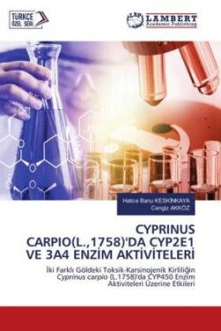 CYPRINUS CARPIO(L.,1758)'DA CYP2E1 VE 3A4 ENZIM AKTIVITELERI
