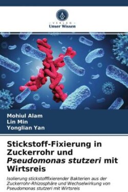 Stickstoff-Fixierung in Zuckerrohr und Pseudomonas stutzeri mit Wirtsreis