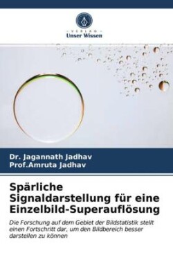 Spärliche Signaldarstellung für eine Einzelbild-Superauflösung